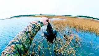 Охота #296 утиная на море