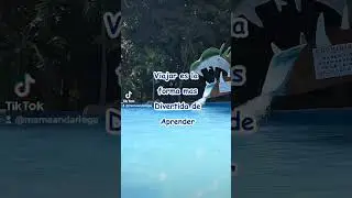 🤠 Viajar es Conocimiento