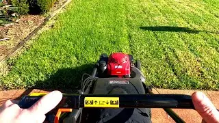 POV Lawn Mowing - All HONDA Action! 🌱 Can I Keep My Lawn Green for Winter?