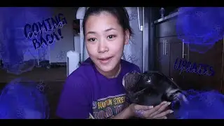 Update!! Coming Back