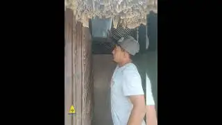 хостел на пляже, Картахена, Колумбия