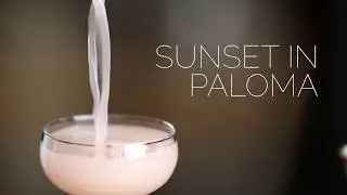 Cocktail Collaboration - Sunset in Paloma