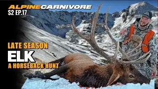 HIGH COUNTRY ELK HUNT | LATE SEASON HORSEBACK BULLS P.2