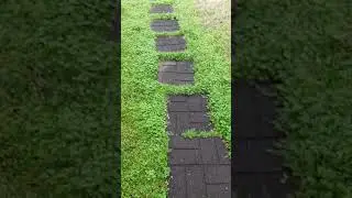 No More Procrastination on Cutting Grass | 