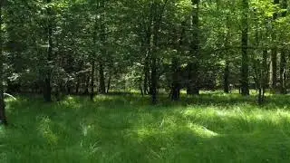 Жаннат Сифатлари (Абдуллох домла)