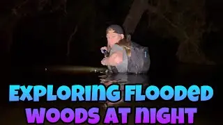 Exploring flooded woods at night!!