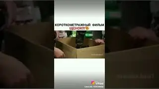 Короткометражный Фильм