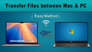 How to Transfer/Share Files between Mac and Windows PC | 2024 | Easy Method