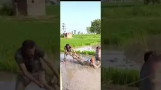 wwe treepl third match #BIG SHOW#ROMAN#RKO IN PUNJAB