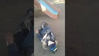 Что за ...