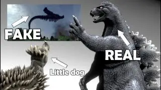 Godzilla Tail Walking Video Debunked