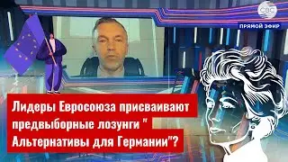 Лидеры Евросоюза присваивают предвыборные лозунги "Альтернативы для Германии"?