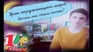 Урок окружающего мира. Зачем мы спим ночью?