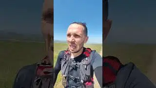 Заамин Ультра 2024, влог и забег на 50 км