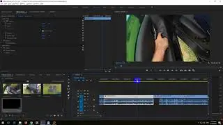 How to do a Freeze Frame in Premiere Pro 2018 (Frame Hold Segment, Pause playback)