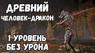 Древний человек - дракон (на 1 уровне без урона) Elden Ring Shadow of the Erdtree
