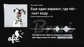 Звук: Еще один вариант, где пёс пьет воду