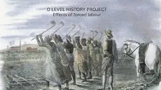 ZIMSEC O Level History Project: Forced Labour in Colonial Zimbabwe 