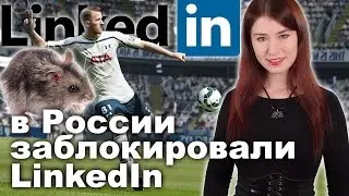 В России заблокировали LinkedIn