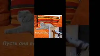 всех с субботой
