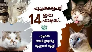 14 Interesting Cat  facts in Malayalam | പൂച്ചസത്യങ്ങൾ | #facts #cats #animals