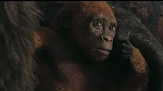 GxK KONG PASSES OUT CLIP
