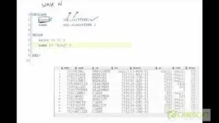 PLS-4: PL/SQL Variables