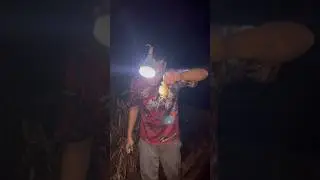 Tangkap ikan di pinggiran sawah #petualang #ikan #iyanxyz