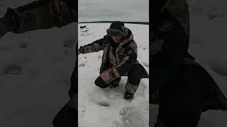 С глубины 12 метров #рыбалка #fishing