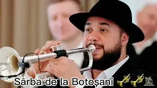 Sârba de la Botoșani Radu Arap #nuntamoldova #raduarap #nunta #nunti #muzica #nunta2024