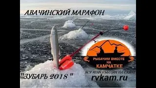 Зимние соревнования Зубарь 2018