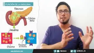 TYPE 1 AND TYPE 2 DIABETES