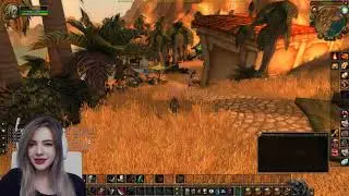 Дневник прокачки в WoW Classic. Рога. Итоги шестого дня