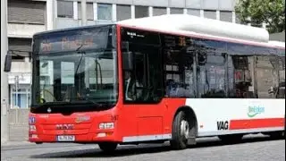 VAG Nürnberg BioErdgas skin PBSU für man lion's city CNG