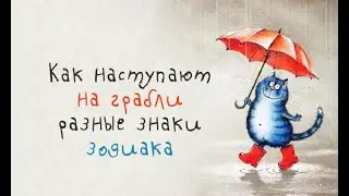 Как наступают на грабли разные знаки Зодиака