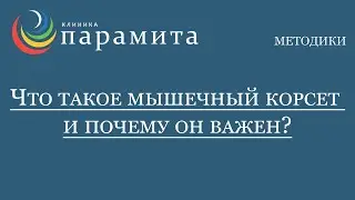 Что такое мышечный корсет и почему он важен