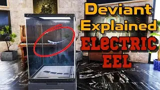 Once Human: Deviant - Electric Eel