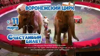 Счастливый Билет - Воронеж