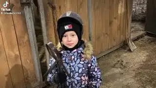старая конюшня