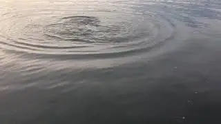 Эх зачетная рыбка!!!!! Всем добра!!!! Рыбалка в Норильске. Таймыр.