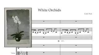 White Orchids