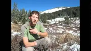 Aron Ralston : Preserving the beauty of life