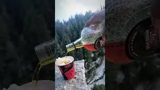 Ek waqut tha hum bhagty the botlo se🏔️🍻 #shorts #shortvideo #snowbear