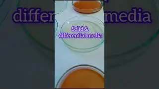 Culture media preparation | How to prepare culture media in lab #lab #microbiology #science #how