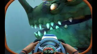 why sea dragons are not in the safe shallows.