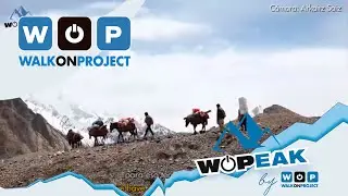 WOPeak Chapter 1. The expedition WOPeak 2017 is already in the process of acclimatisation
