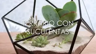 DIY - Cómo Hacer Un Terrario De Suculentas