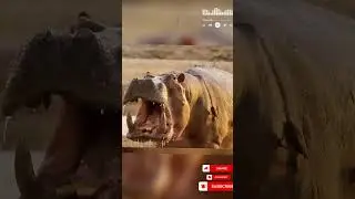 A mother's rage is the worst