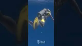 Crazy diver encounter with Godzilla