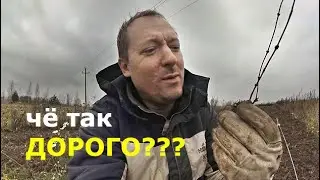 Из чего складывается цена саженца?